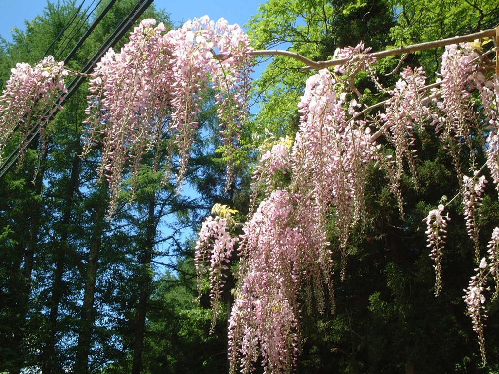 Отель Kyuhonbo Hisayamakan Нагано Экстерьер фото